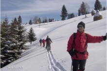Ski 