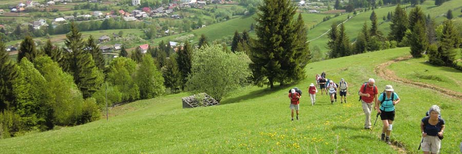 Activitati